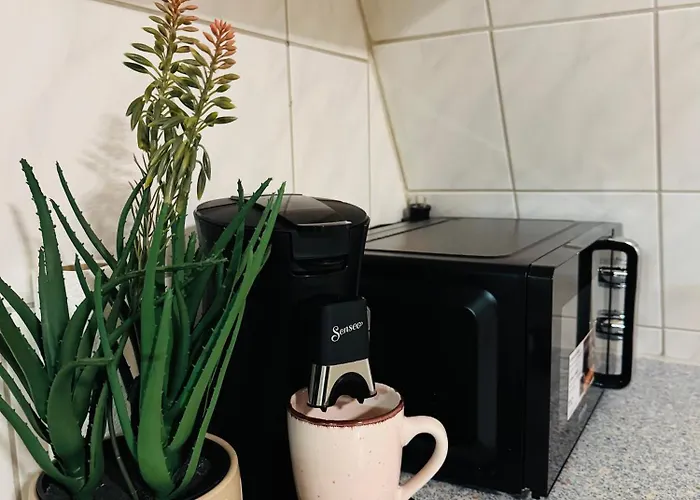 Charmantes Altstadt-juwel An Der Elbe Appartement